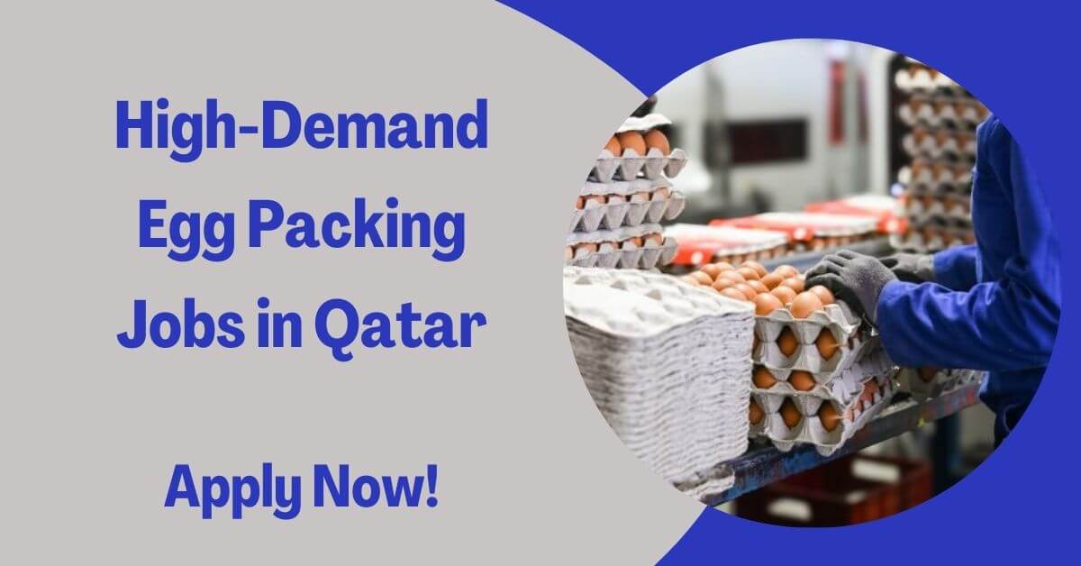 High-Demand Egg Packing Jobs in Qatar