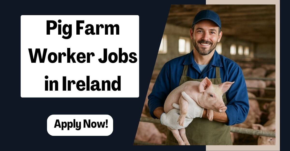 Pig Farm Worker Jobs in Ireland