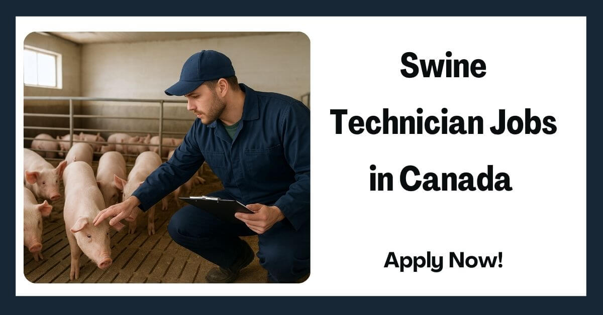 Swine Technician Jobs in Canada