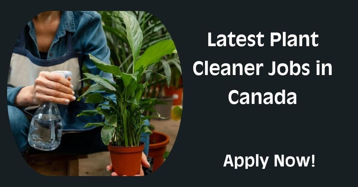 Latest Plant Cleaner Jobs in Canada