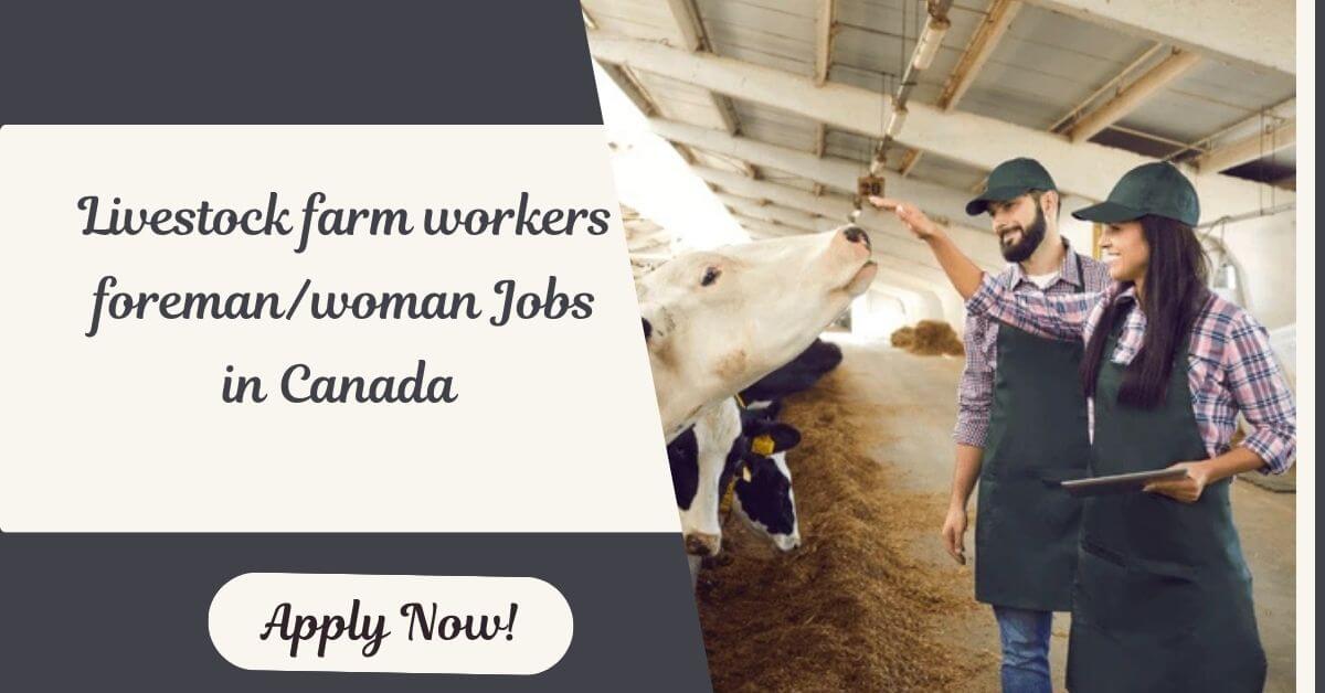 Livestock farm workers foreman/woman Jobs in Canada