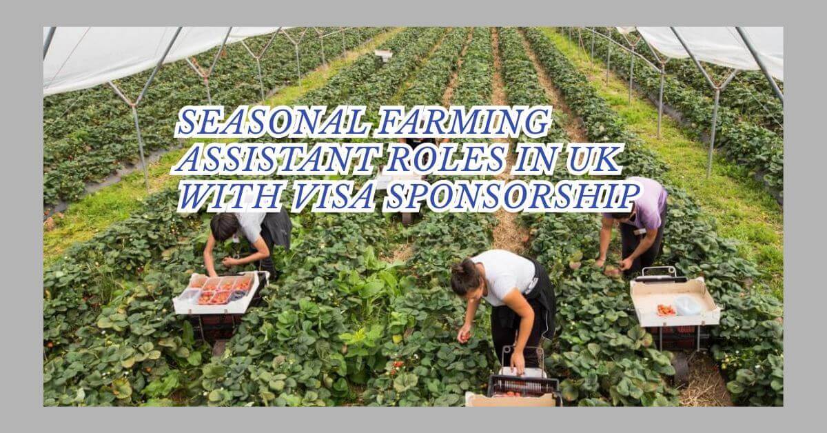 Seasonal Farming Assistant Roles In UK With Visa Sponsorship