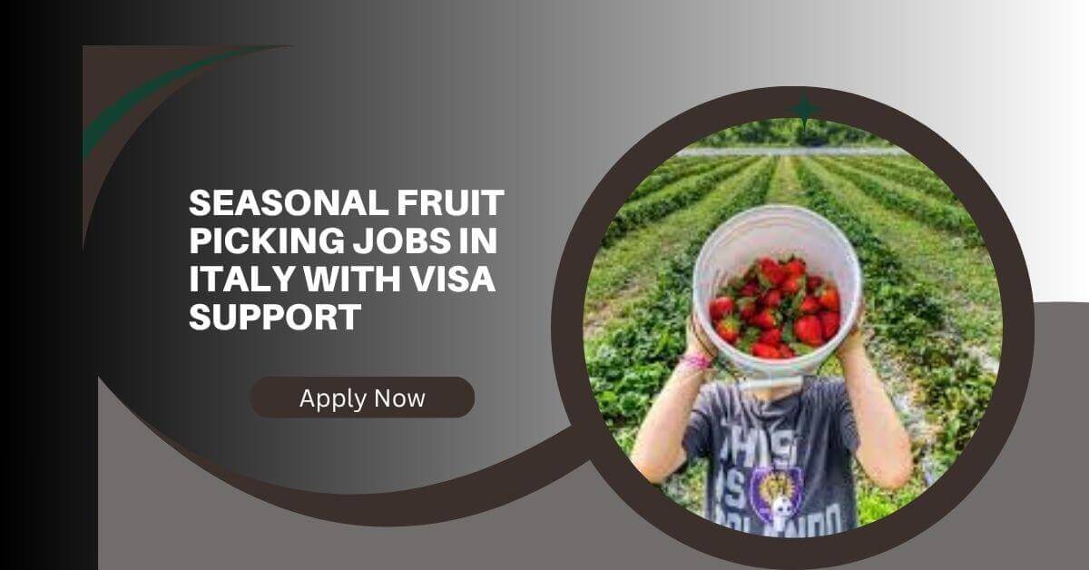 Seasonal Fruit Picking Jobs In Italy With Visa Support