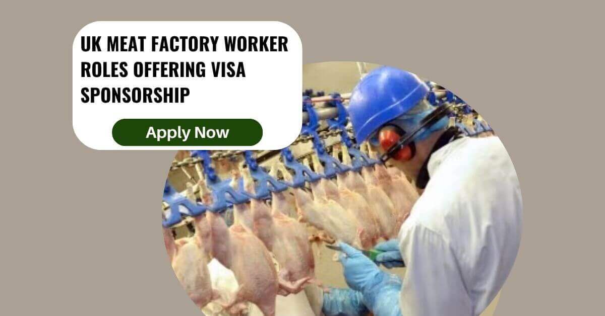 UK Meat Factory Worker Roles Offering Visa Sponsorship