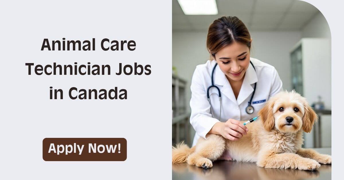 Animal Care Technician Jobs in Canada